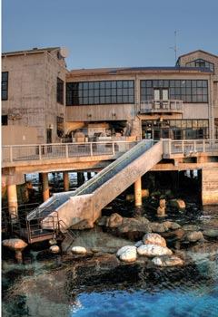 John Steinbeck’s novel

Cannery Row was published 65 years ago, yet Monterey still bears

his mark. PIE attendees can check out the many restaurants, bars,

shops — and Steinbeck’s Spirit of Monterey Wax

Museum.