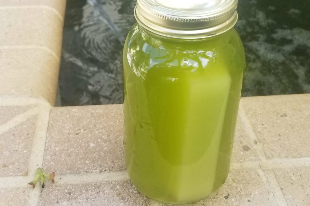 A mason jar filled with green water has a Magic Eraser inside. The cleaning product seemed to remove some, but not all the algae.