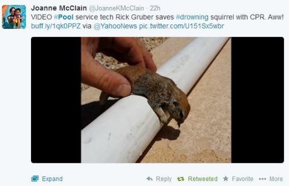 @JoanneKMcClain, managing editor of 
@poolspanews, gives a much deserving shout-out to a pool service tech who had no qualms about giving mouth-to-mouth to a drowning baby squirrel. Let's all give a round of applause to Rick Gruber! #PSNSocialService