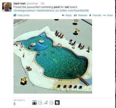 Just when we thought we'd seen it all with the ice cream-themed pool in Orlando, we stumbled upon this gem shared by 
@NeillHall. Turns out the feline-formed pool seen here actually dates back to the 50s. The image originally was captured by mid-century photographer Slim Aarons at the Fontainebleau Hotel in Maimi Beach, Fla. Can you imagine the likes of Jerry Lewis soaking in this? #PSNSocialService