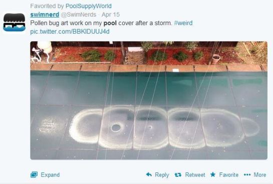 @SwimNerds couldn't help geeking out with this shot of his pool cover post storm. Whether this one gives you chills thinking about the allergies an insect as large as this could cause, or it reminds you of a 1950s insect horror film gone bad (wait, are any of 
Them! really good?), the photo deserves points for uniqueness. #PSNSocialService
