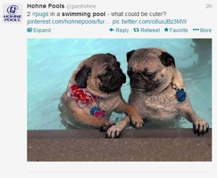 @garyhohne&nbsp; knows people love pics of animals in pools. And these pugs take the cake this week!&nbsp;#PSNSocialService