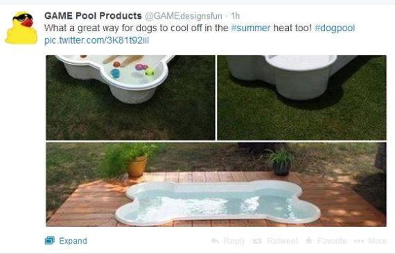 Sure we're biased, but we think this dog pool shared by 
@GAMEdesignsfun&nbsp;is an excellent idea. Afterall, dogs are part of the family and should be able to enjoy the backyard, too! #PSNSocialService
