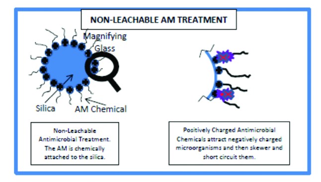 In this graphic, a non-leachable antimicrobial treatment is used.