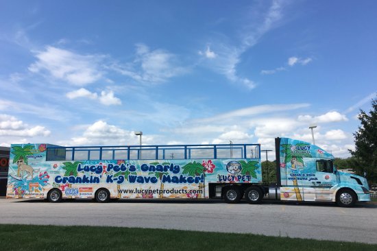 Lucy Pet Founder Joey Herrick commissioned what likely is the first mobile wave machine to audition pets for the Rose Parade float.