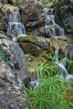 Laughing Waters inc., Palos Park Residence